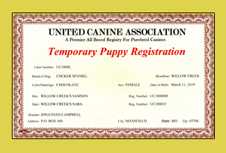 UCA Puppy Certificate